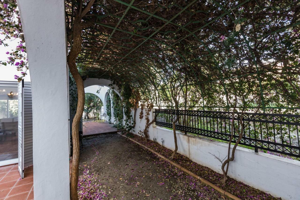 Villa Papaya Residence 파포스 외부 사진